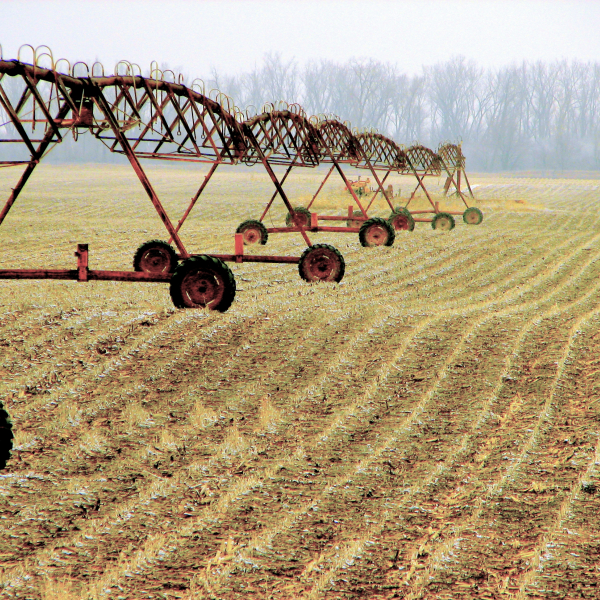 Agriculture as Industry